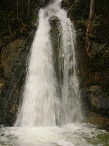 Cascade