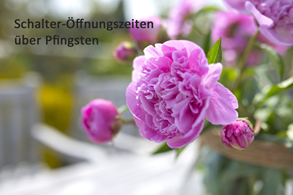 Schalter-Öffnungszeiten