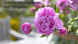 Schalter-Öffnungszeiten