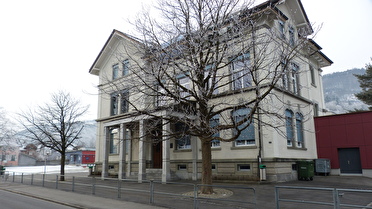 Rosskastanien vor Hauptportal Schulhaus Grof (Schulhausstrasse 10)