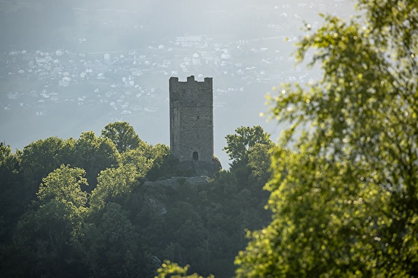 Foto Burgruine Wartau