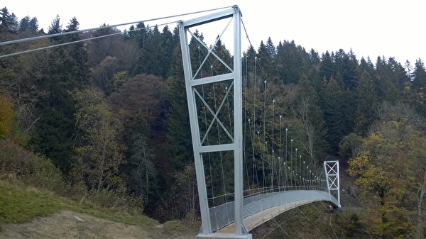 Bild Hängebrücke