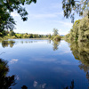 Frühling7