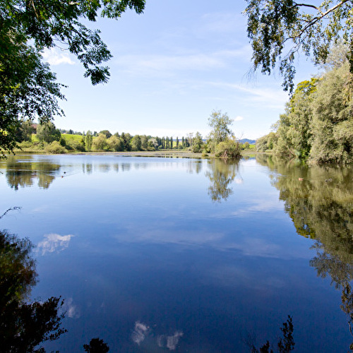 Frühling7