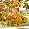 Frühling1