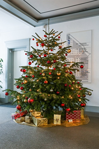 Weihnachten im Gemeindehaus