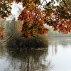 Frühling88