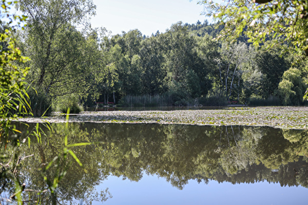 Bettenauer Weiher