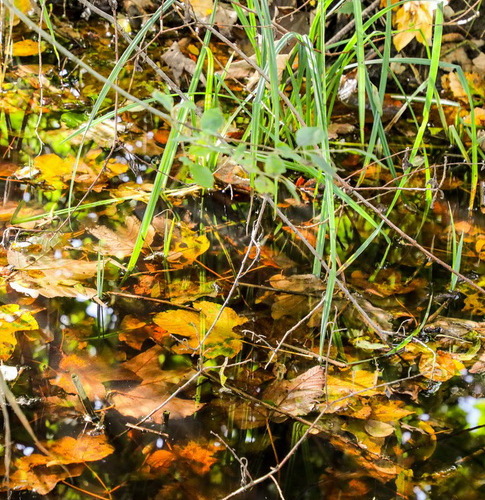 Frühling6