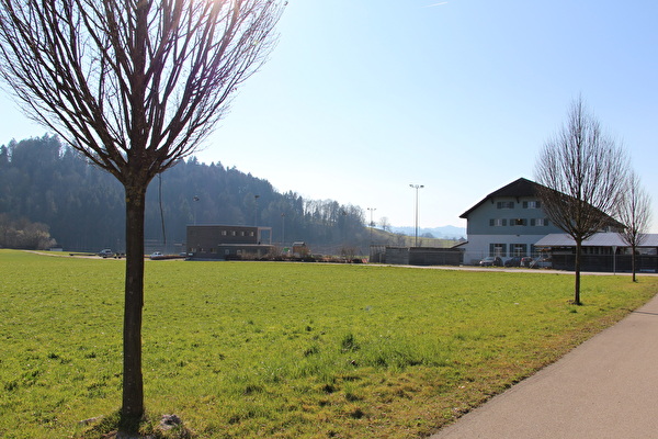 Auf dieser Wiese soll das neue Sportzentrum entstehen