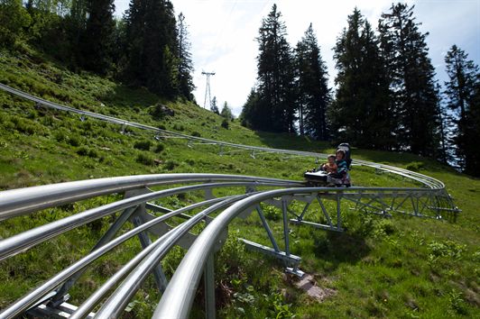 Rodelbahn Floomzer Tannenboden