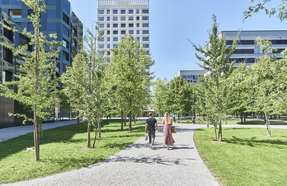 das neue Goldschlägi-Quartier