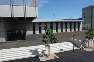 Aula Reitmen