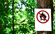 Spielplatz Schönenwerd der Stadt Schlieren