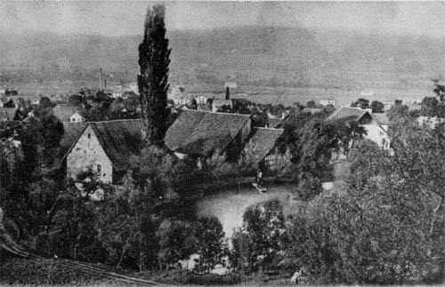Der "Müliweiher" lag zwischen Säge-, Kamp- und Uitikonerstrasse; 1910 wurde er eingedeckt. 