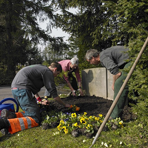 Friedhof