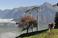 Maienberg