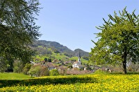 Vilters