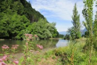 Saarfall