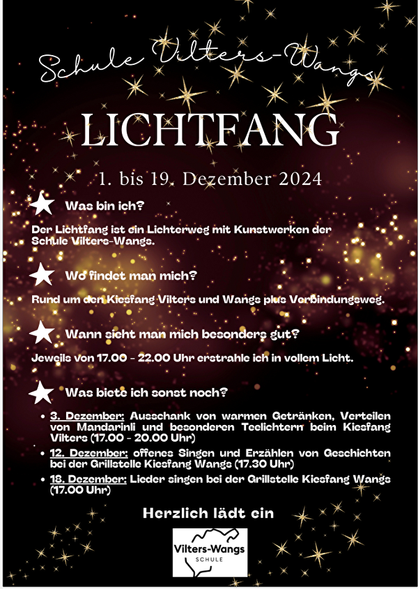 Lichtfang Schule ViWa