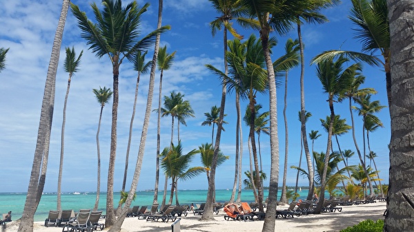 Strand mit Palmen