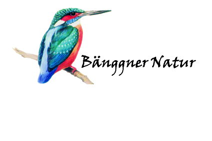 Bänggner Natur
