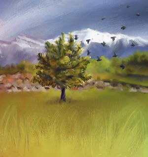 Bild Leitbild