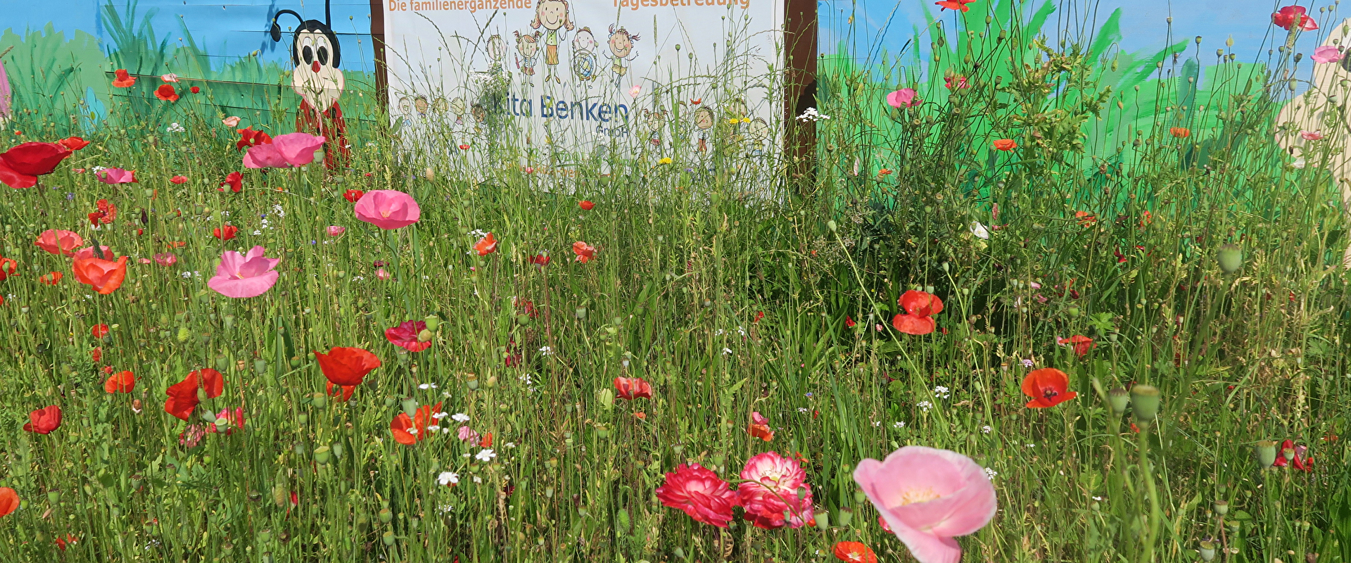 Blumenwiese
