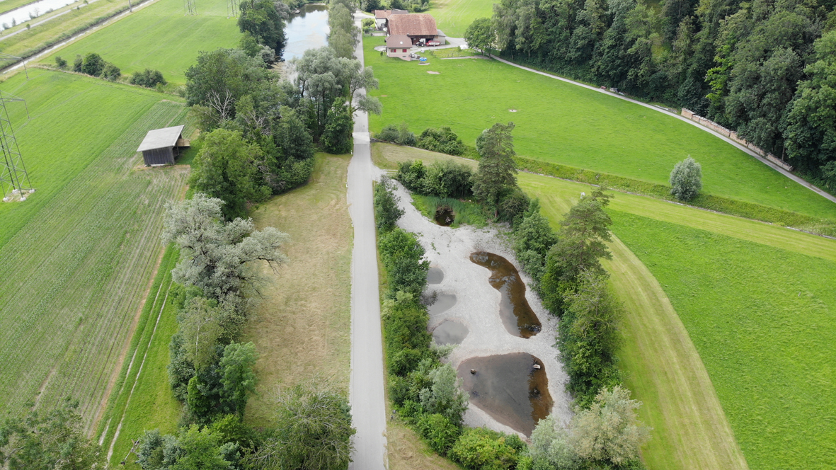 Mösli