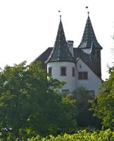 Das Schloss Weinstein steht schon seit vielen hundert Jahren als Wahrzeichen inmitten der Rebberge.