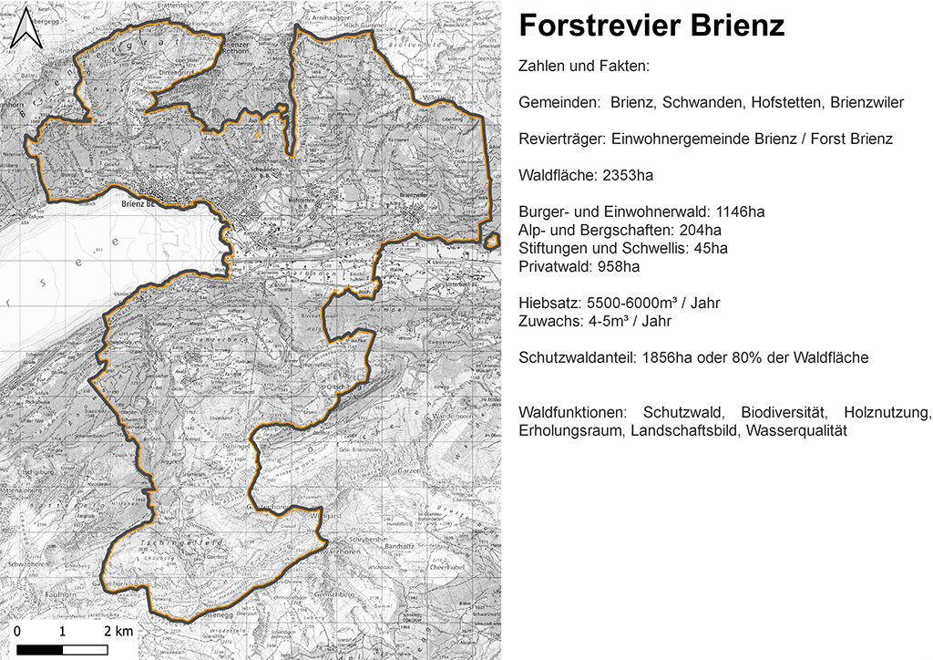 Forstrevier Brienz