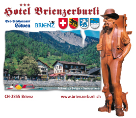 Hotel Brienzerburli