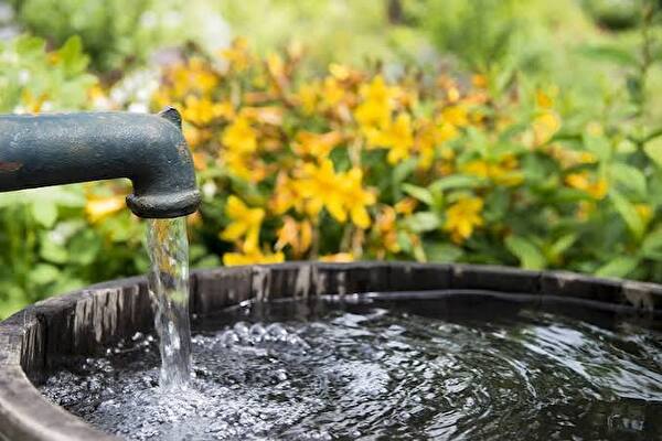 Wasser