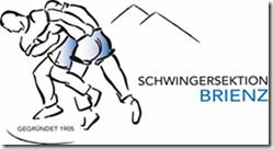 Schwingersektion Brienz