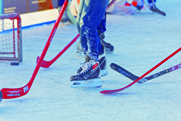photo de la patinoire de Vésenaz