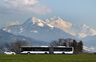 bus tpg