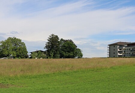 Das Baurechtsareal liegt eingebettet zwischen der bestehenden Siedlung, Bauernhof und Renggstrasse