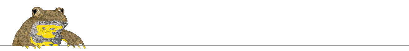Allmend-Unke