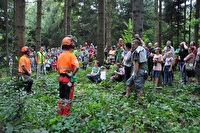 Baumfällen am Waldtag 2016 im Roterwald