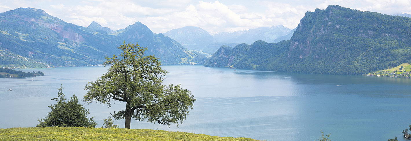 Von der Waldstätte bis nach Santiago