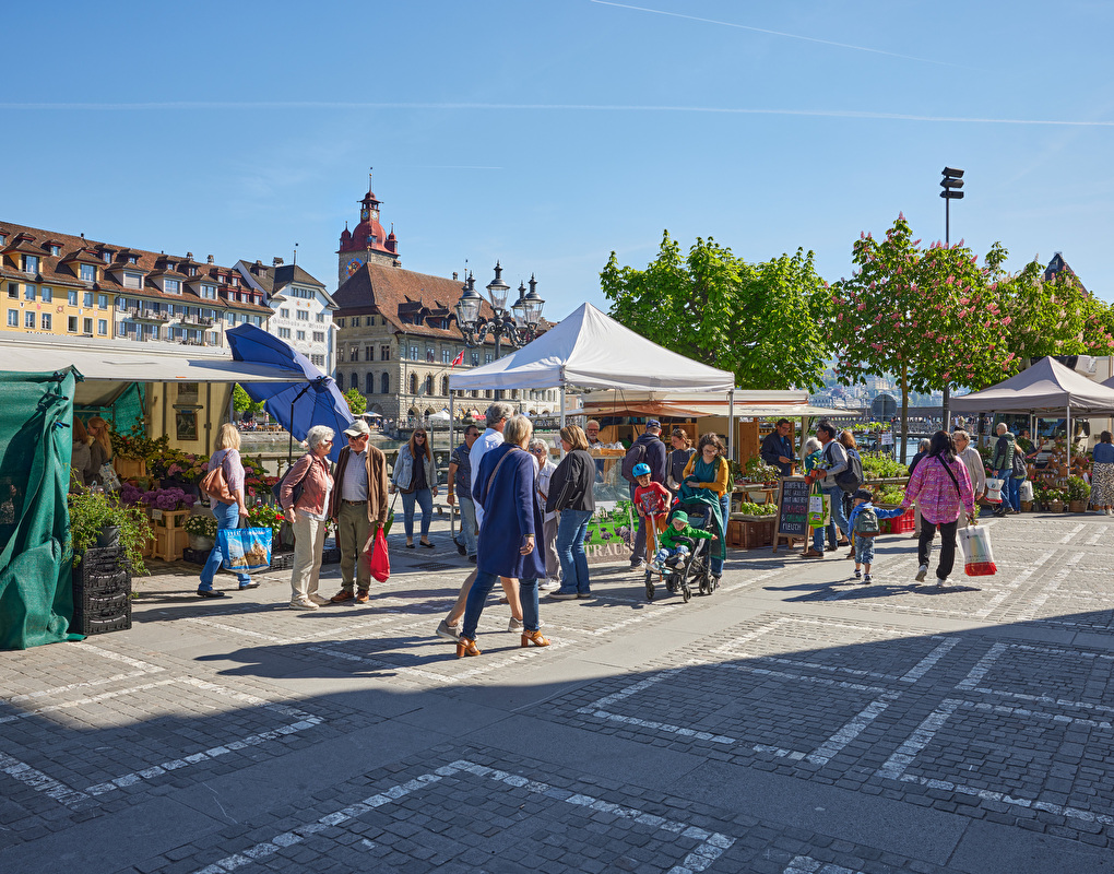Neues Vergabeverfahren für den Luzerner Wochenmarkt 