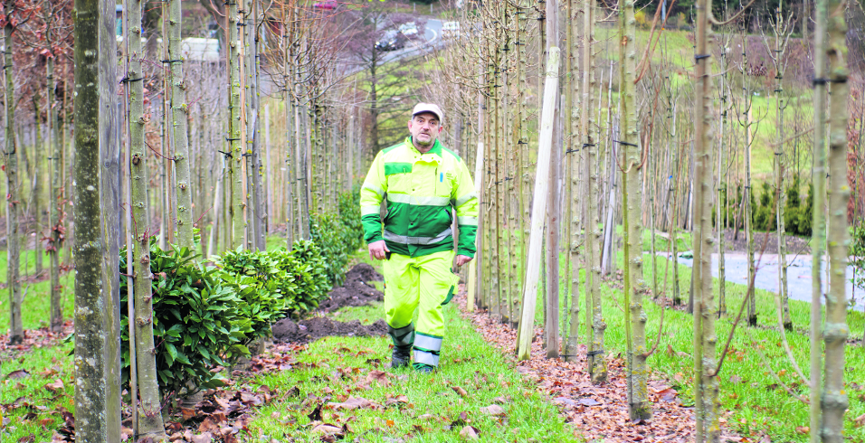 Urbane Naturschönheit will gepflegt sein