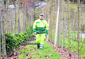 Urbane Naturschönheit will gepflegt sein