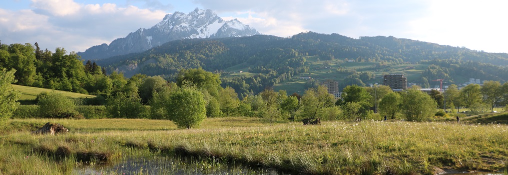 Rangerinnen und Ranger engagieren sich auf der Luzerner Allmend