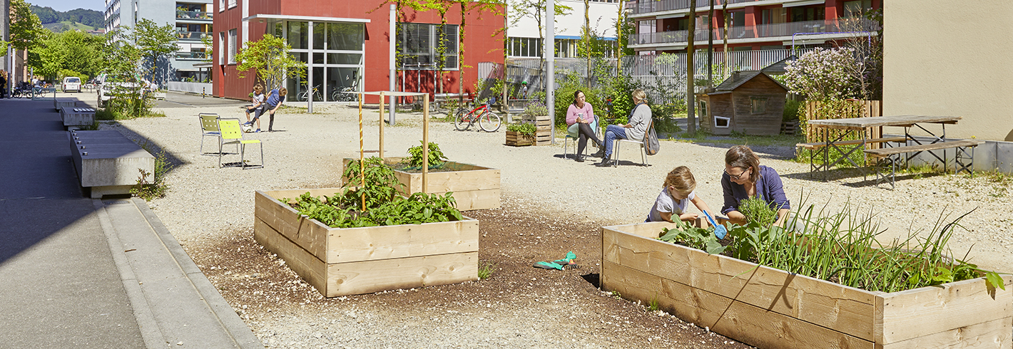 Urban Gardening