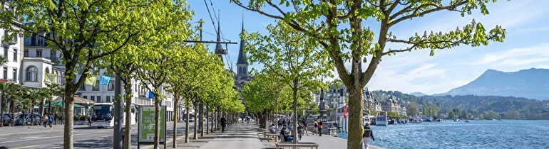 Entsiegelung Schweizerhofquai