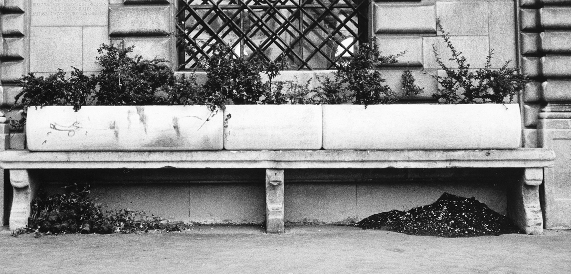 Die «langhaarigen Gesellen», die sich aufgrund der freien Plätze nun häufiger vor dem Rathaus aufhielten, passten für Stadtpräsident Hans Rudolf Meyer nicht ins Bild. Um sie fernzuhalten, liess er 1976 Blumenkisten auf den Bänken aufstellen. 