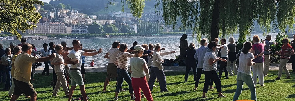 Tai Chi Qi Gong Inseli