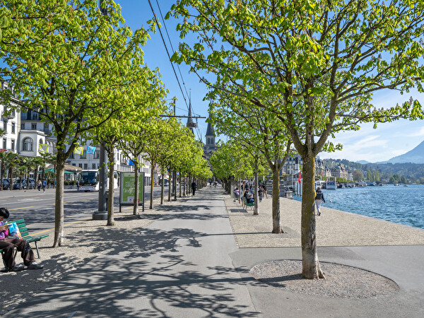 Entsiegelung Schweizerhofquai