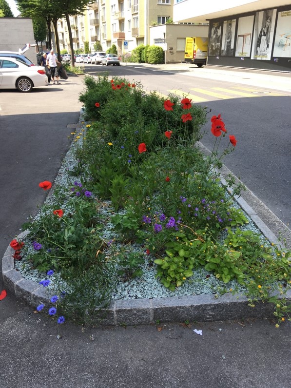 Neustadt: Bunte Verkehrsinseln. Versickerungsfähige Oberflächen gleichen den Wasserhaushalt aus und entlasten die Kanalisation. Starkniederschläge versickern vor Ort und halten in trockenen Phasen die Pflanzen grün.